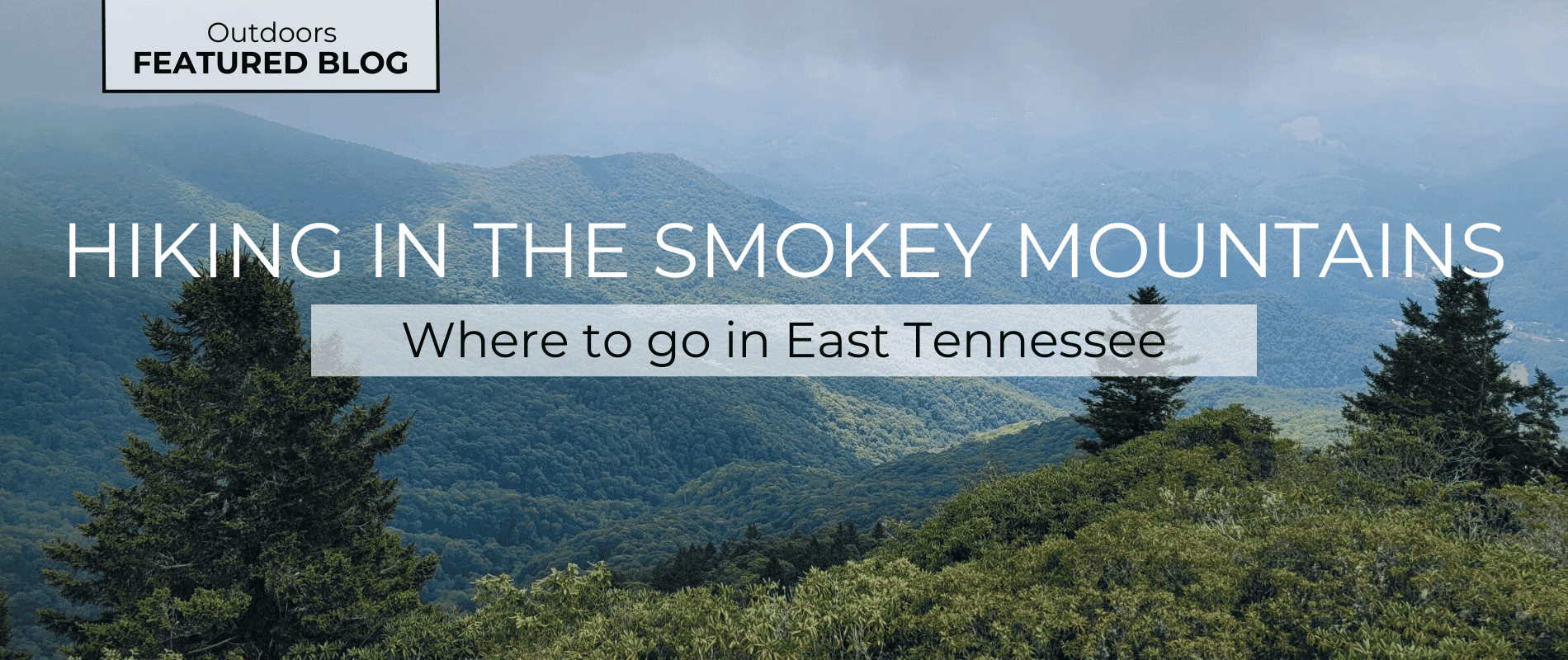 Hiking in the Great Smoky Mountains: Where to go hiking in East Tennessee. Explore the best trails to hike and walk near Gatlinburg.