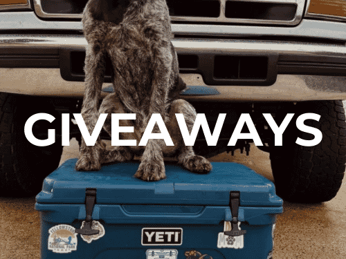 Find out about Elliott's Boots giveaways!