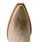 Ariat Women's Casanova 16