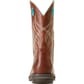 Ariat Women's Anthem 10
