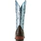 Ariat Women's Futurity Silk 13