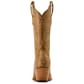 Ariat Women's Amora 12