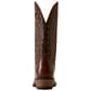 Ariat Women's Lucrea 12