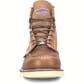 Carolina Men's AMP USA 6