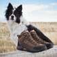 Danner Women's Trail Trainer Mid Hiking Boots highlight