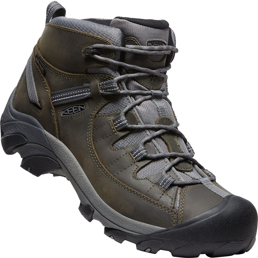 targhee ii wp